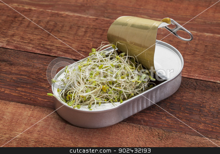 To use this stock image in your creative project, please select the size you need over to the right and click the "Add to Cart" button.
Your downloaded image will come with the Cutcaster watermark removed so don’t worry about the watermark you see on this page. broccoli sprouts in can stock photo, opening tin can with broccoli, radish and clover sprouts growing inside, red rustic barn wood table - healthy food concept by Marek Uliasz