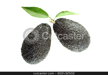To use this stock image in your creative project, please select the size you need over to the right and click the "Add to Cart" button.
Your downloaded image will come with the Cutcaster watermark removed so don’t worry about the watermark you see on this page. Avocados stock photo, Black Ripe Avocados with leaves on white Background. by Designsstock