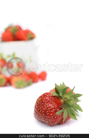 To use this stock image in your creative project, please select the size you need over to the right and click the "Add to Cart" button.
Your downloaded image will come with the Cutcaster watermark removed so don’t worry about the watermark you see on this page. strawberries stock photo, strawberry and pot with strawberries on the white background by Jiri Vaclavek