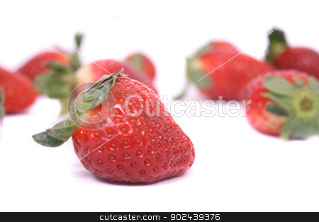 To use this stock image in your creative project, please select the size you need over to the right and click the "Add to Cart" button.
Your downloaded image will come with the Cutcaster watermark removed so don’t worry about the watermark you see on this page. strawberries stock photo, fresh red strawberries on the white background by Jiri Vaclavek