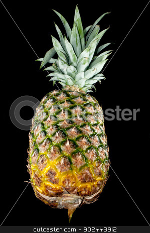 To use this stock image in your creative project, please select the size you need over to the right and click the "Add to Cart" button.
Your downloaded image will come with the Cutcaster watermark removed so don’t worry about the watermark you see on this page. pineapple isolated on black stock photo, Pineapple fruit isolated on black background by digidreamgrafix.com