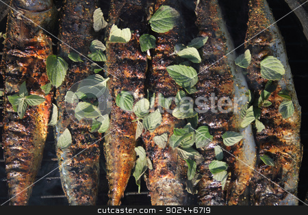 To use this stock image in your creative project, please select the size you need over to the right and click the "Add to Cart" button.
Your downloaded image will come with the Cutcaster watermark removed so don’t worry about the watermark you see on this page. grilled fishes background stock photo, fresh grilled fishes as natural food background by Jiri Vaclavek