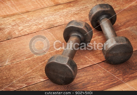 To use this stock image in your creative project, please select the size you need over to the right and click the "Add to Cart" button.
Your downloaded image will come with the Cutcaster watermark removed so don’t worry about the watermark you see on this page. vintage iron dumbbells stock photo, a pair of vintage iron rusty dumbbells on red barn wood background - fitness concept by Marek Uliasz
