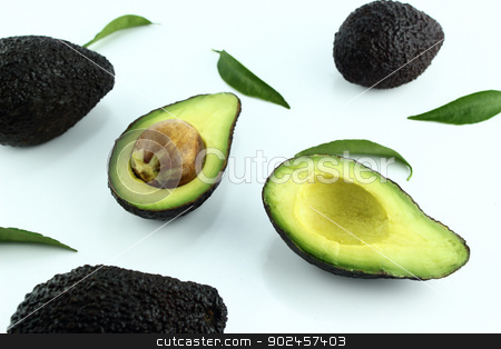 To use this stock image in your creative project, please select the size you need over to the right and click the "Add to Cart" button.
Your downloaded image will come with the Cutcaster watermark removed so don’t worry about the watermark you see on this page. Avocados stock photo, Black Ripe Avocados with leaves on white Background. by Designsstock