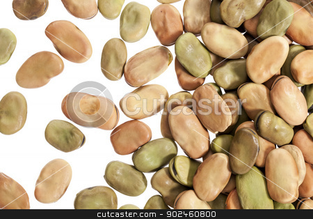 To use this stock image in your creative project, please select the size you need over to the right and click the "Add to Cart" button.
Your downloaded image will come with the Cutcaster watermark removed so don’t worry about the watermark you see on this page. fava (broad) beans stock photo, fava (broad) beans spread on white background - top view by Marek Uliasz