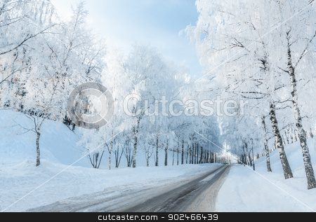 To use this stock image in your creative project, please select the size you need over to the right and click the "Add to Cart" button.
Your downloaded image will come with the Cutcaster watermark removed so don’t worry about the watermark you see on this page. Winter road stock photo, Winter road running along the snow-covered trees. Russia, Yaroslavl by logos2012