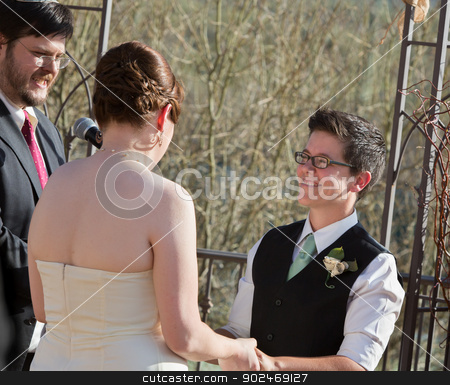 To use this stock image in your creative project, please select the size you need over to the right and click the "Add to Cart" button.
Your downloaded image will come with the Cutcaster watermark removed so don’t worry about the watermark you see on this page. Outdoor Civil Union Ceremony stock photo, Smiling woman with partner in civil union ceremony by Scott Griessel
