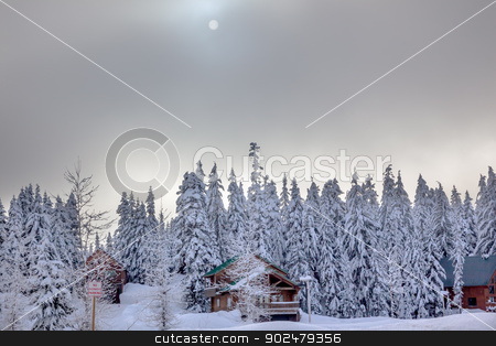 To use this stock image in your creative project, please select the size you need over to the right and click the "Add to Cart" button.
Your downloaded image will come with the Cutcaster watermark removed so don’t worry about the watermark you see on this page. Sun Fog Snow Covered Evergreen Trees Wood Bulidngs at Snoqualme stock photo, Sun Fog Snow Covered Trees Wood Buildings on Snow Mountain at Snoqualme Pass Washington. by William Perry