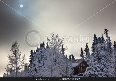 To use this stock image in your creative project, please select the size you need over to the right and click the "Add to Cart" button.
Your downloaded image will come with the Cutcaster watermark removed so don’t worry about the watermark you see on this page. Sun Fog Snow Covered Evergreen Trees Abstract at Snoqualme Pass stock photo, Sun Fog Snow Covered Trees on Snow Mountain at Snoqualme Pass Washington. by William Perry