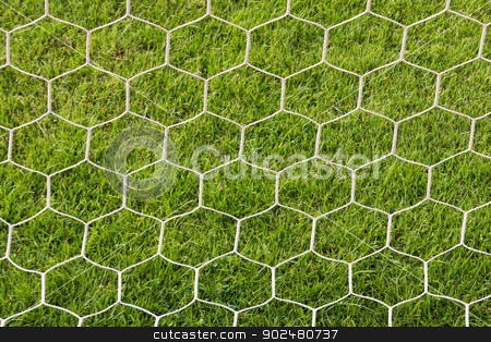 To use this stock image in your creative project, please select the size you need over to the right and click the "Add to Cart" button.
Your downloaded image will come with the Cutcaster watermark removed so don’t worry about the watermark you see on this page. Back side the Goal football stock photo, Back side the Goal at the football field by stoonn