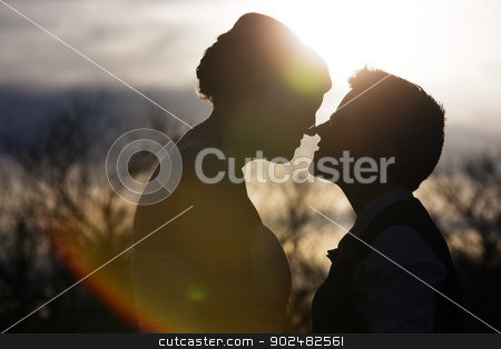 To use this stock image in your creative project, please select the size you need over to the right and click the "Add to Cart" button.
Your downloaded image will come with the Cutcaster watermark removed so don’t worry about the watermark you see on this page. Back Lit Loving Couple stock photo, Silhouette of same sex couple close together outdoors by Scott Griessel