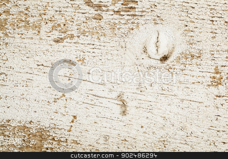 To use this stock image in your creative project, please select the size you need over to the right and click the "Add to Cart" button.
Your downloaded image will come with the Cutcaster watermark removed so don’t worry about the watermark you see on this page. barn wood texture stock photo, grunge weathered barn wood painted white - texture by Marek Uliasz