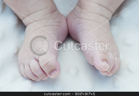 To use this stock image in your creative project, please select the size you need over to the right and click the "Add to Cart" button.
Your downloaded image will come with the Cutcaster watermark removed so don’t worry about the watermark you see on this page. Detail newborn feet on a soft white blanket stock photo, Detail newborn feet on a soft white blanket by Fernando Cortes