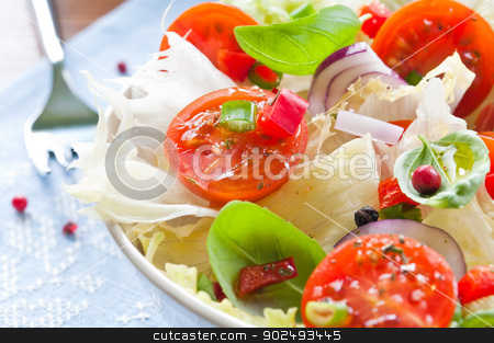 To use this stock image in your creative project, please select the size you need over to the right and click the "Add to Cart" button.
Your downloaded image will come with the Cutcaster watermark removed so don’t worry about the watermark you see on this page. Fresh Salad stock photo, Fresh salad with cherry tomatoes, lettuce, red onion and herbs by Tiramisu Studio