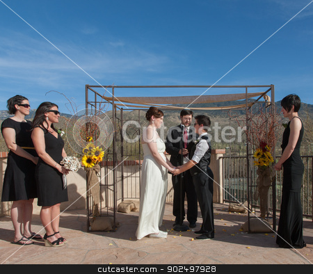 To use this stock image in your creative project, please select the size you need over to the right and click the "Add to Cart" button.
Your downloaded image will come with the Cutcaster watermark removed so don’t worry about the watermark you see on this page. Committed Gay Couple in Ceremony stock photo, Committed young lesbian couple in civil union outdoors by Scott Griessel