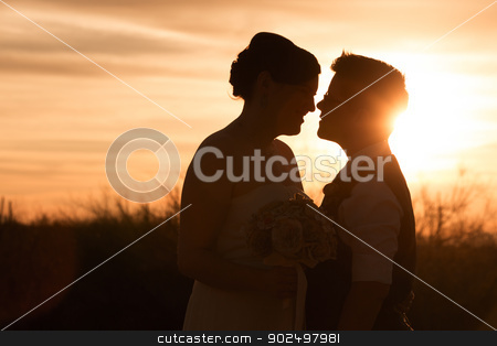 To use this stock image in your creative project, please select the size you need over to the right and click the "Add to Cart" button.
Your downloaded image will come with the Cutcaster watermark removed so don’t worry about the watermark you see on this page. Lesbian Couple at Sunset stock photo, Beautiful same sex couple in civil union at sunset by Scott Griessel