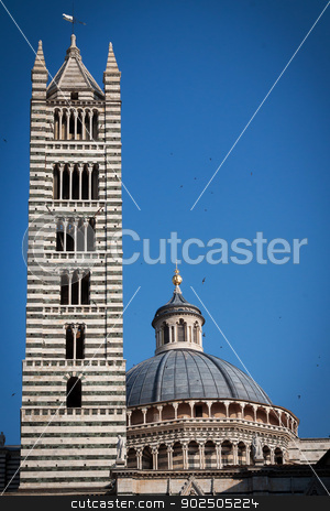 To use this stock image in your creative project, please select the size you need over to the right and click the "Add to Cart" button.
Your downloaded image will come with the Cutcaster watermark removed so don’t worry about the watermark you see on this page. Siena cathedral stock photo, The striped bell tower of the Cathedral of Siena on a beautiful summer day. by Piccia Neri
