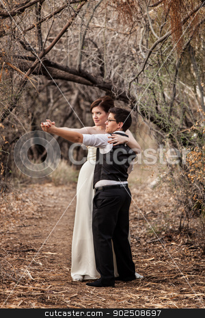 To use this stock image in your creative project, please select the size you need over to the right and click the "Add to Cart" button.
Your downloaded image will come with the Cutcaster watermark removed so don’t worry about the watermark you see on this page. Same Sex Couple Dancing Together stock photo, Same sex European females in wedding clothes outside by Scott Griessel