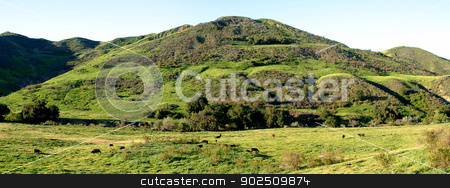 To use this stock image in your creative project, please select the size you need over to the right and click the "Add to Cart" button.
Your downloaded image will come with the Cutcaster watermark removed so don’t worry about the watermark you see on this page. Green Valley stock photo, Green valley with cows as a panorama. by Henrik Lehnerer