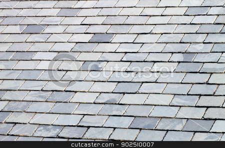 To use this stock image in your creative project, please select the size you need over to the right and click the "Add to Cart" button.
Your downloaded image will come with the Cutcaster watermark removed so don’t worry about the watermark you see on this page. Slate tiled roof stock photo, Background of gray or gey slate tiled roof. by Martin Crowdy
