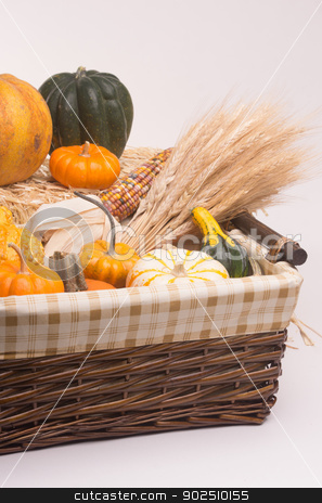 To use this stock image in your creative project, please select the size you need over to the right and click the "Add to Cart" button.
Your downloaded image will come with the Cutcaster watermark removed so don’t worry about the watermark you see on this page. Harvest Time stock photo, Basket with pumkins, gourds, acorn squash, Indian Corn, and wheat stalks. Isolated on white background with light shadow by Surf City Images