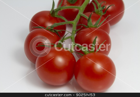 To use this stock image in your creative project, please select the size you need over to the right and click the "Add to Cart" button.
Your downloaded image will come with the Cutcaster watermark removed so don’t worry about the watermark you see on this page. Tomatoes on the Vine stock photo, Tomatoes on the Vine by Goldcoinz