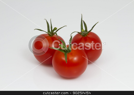 To use this stock image in your creative project, please select the size you need over to the right and click the "Add to Cart" button.
Your downloaded image will come with the Cutcaster watermark removed so don’t worry about the watermark you see on this page. Tomatoes stock photo, Three Tomatoes by Goldcoinz