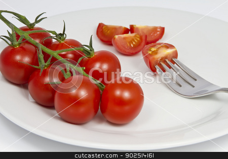To use this stock image in your creative project, please select the size you need over to the right and click the "Add to Cart" button.
Your downloaded image will come with the Cutcaster watermark removed so don’t worry about the watermark you see on this page. Tomatoes on the Vine stock photo, Tomatoes on the Vine on a plate with a fork by Goldcoinz
