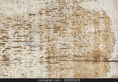 To use this stock image in your creative project, please select the size you need over to the right and click the "Add to Cart" button.
Your downloaded image will come with the Cutcaster watermark removed so don’t worry about the watermark you see on this page. barn wood texture stock photo, grunge weathered barn wood painted white - texture by Marek Uliasz