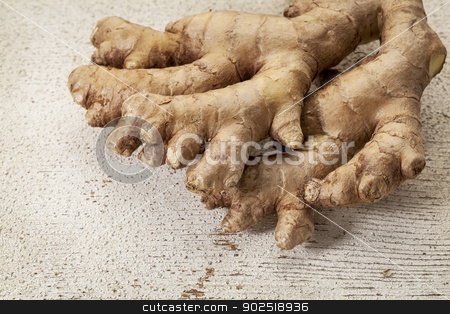 To use this stock image in your creative project, please select the size you need over to the right and click the "Add to Cart" button.
Your downloaded image will come with the Cutcaster watermark removed so don’t worry about the watermark you see on this page. ginger root stock photo, ginger root on a rustic white painted barn wood background by Marek Uliasz