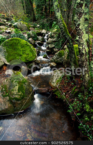 To use this stock image in your creative project, please select the size you need over to the right and click the "Add to Cart" button.
Your downloaded image will come with the Cutcaster watermark removed so don’t worry about the watermark you see on this page. Slice of nature freshness stock photo, View of a stream of fresh mountain water on a lush green forest. by Mauro Rodrigues