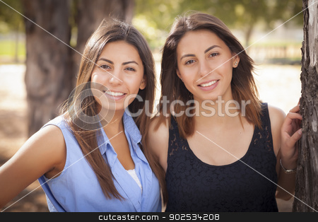 To use this stock image in your creative project, please select the size you need over to the right and click the "Add to Cart" button.
Your downloaded image will come with the Cutcaster watermark removed so don’t worry about the watermark you see on this page. Two Mixed Race Twin Sisters Portrait stock photo, Two Beautiful Mixed Race Twin Sisters Portrait Outdoors. by Andy Dean
