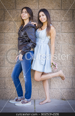 To use this stock image in your creative project, please select the size you need over to the right and click the "Add to Cart" button.
Your downloaded image will come with the Cutcaster watermark removed so don’t worry about the watermark you see on this page. Two Mixed Race Twin Sisters Portrait stock photo, Two Beautiful Mixed Race Twin Sisters Portrait Outdoors. by Andy Dean