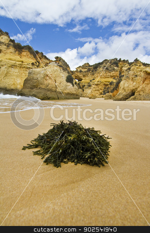 To use this stock image in your creative project, please select the size you need over to the right and click the "Add to Cart" button.
Your downloaded image will come with the Cutcaster watermark removed so don’t worry about the watermark you see on this page. Wonderfull Portuguese beach stock photo, Wonderful view of a beautiful beach in the Prainha area, in the Algarve, Portugal.
by Mauro Rodrigues