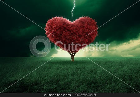 To use this stock image in your creative project, please select the size you need over to the right and click the "Add to Cart" button.
Your downloaded image will come with the Cutcaster watermark removed so don’t worry about the watermark you see on this page. Love at first sight stock photo, Tree in the shape of heart hit from a lightning by Giordano Aita