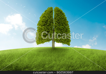 To use this stock image in your creative project, please select the size you need over to the right and click the "Add to Cart" button.
Your downloaded image will come with the Cutcaster watermark removed so don’t worry about the watermark you see on this page. The lungs of Earth stock photo, Tree with form of lungs, oxygen for the earth by Giordano Aita