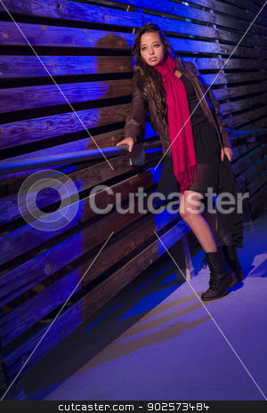 To use this stock image in your creative project, please select the size you need over to the right and click the "Add to Cart" button.
Your downloaded image will come with the Cutcaster watermark removed so don’t worry about the watermark you see on this page. Mixed Race Young Adult Woman Against a Wood Wall Background stock photo, Portrait of a Pretty Mixed Race Young Adult Woman Against a Wood Wall Background. by Andy Dean