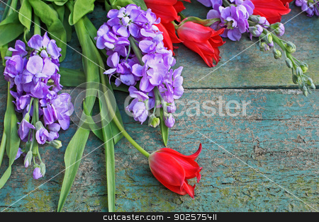 To use this stock image in your creative project, please select the size you need over to the right and click the "Add to Cart" button.
Your downloaded image will come with the Cutcaster watermark removed so don’t worry about the watermark you see on this page. Beautiful wooden floral background stock photo, Beautiful wooden floral background with red tulips and by Juliet Photography