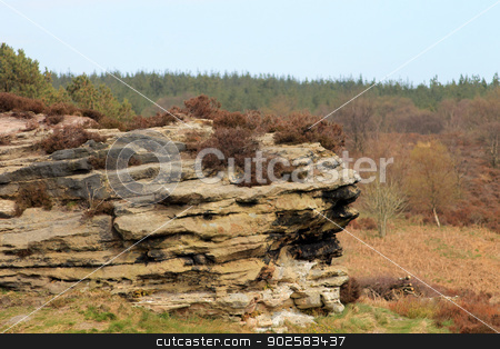 To use this stock image in your creative project, please select the size you need over to the right and click the "Add to Cart" button.
Your downloaded image will come with the Cutcaster watermark removed so don’t worry about the watermark you see on this page. Rock formation in countryside stock photo, Eroded rock stack formation in countryside, North Yorkshire Moors National Park, England. by Martin Crowdy