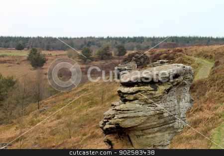 To use this stock image in your creative project, please select the size you need over to the right and click the "Add to Cart" button.
Your downloaded image will come with the Cutcaster watermark removed so don’t worry about the watermark you see on this page. Rock formations in moors stock photo, Scenic view of eroded stack rock formation in Moors, North Yorkshire, England. by Martin Crowdy