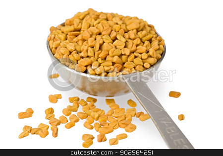To use this stock image in your creative project, please select the size you need over to the right and click the "Add to Cart" button.
Your downloaded image will come with the Cutcaster watermark removed so don’t worry about the watermark you see on this page. Fenugreek Seeds in Spoon stock photo, A measuring spoon filled with fenugreek seeds against a white background. by Glenn Price