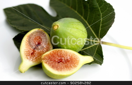To use this stock image in your creative project, please select the size you need over to the right and click the "Add to Cart" button.
Your downloaded image will come with the Cutcaster watermark removed so don’t worry about the watermark you see on this page. Green Fig stock photo, Close up of a green fig on white background with leave. by Henrik Lehnerer