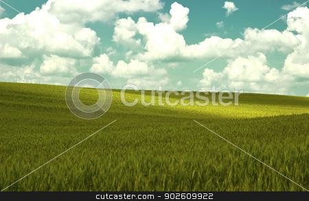 To use this stock image in your creative project, please select the size you need over to the right and click the "Add to Cart" button.
Your downloaded image will come with the Cutcaster watermark removed so don’t worry about the watermark you see on this page. grain field stock photo, new landscape image with green field and cloudy sky by metrue