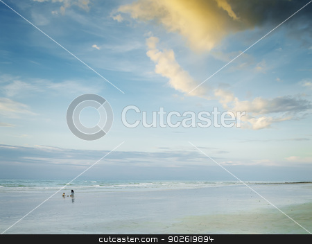 To use this stock image in your creative project, please select the size you need over to the right and click the "Add to Cart" button.
Your downloaded image will come with the Cutcaster watermark removed so don’t worry about the watermark you see on this page. Broome Australia stock photo, An image of the nice landscape of Broome Australia by Markus Gann