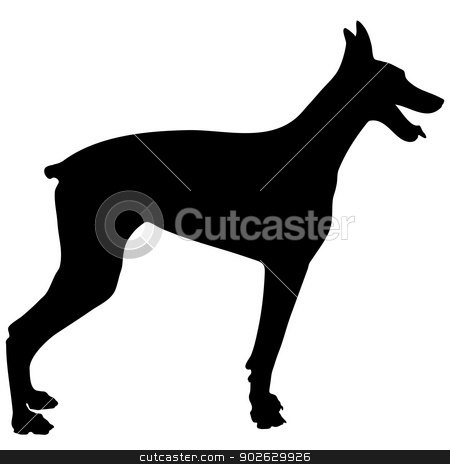 To use this stock image in your creative project, please select the size you need over to the right and click the "Add to Cart" button.
Your downloaded image will come with the Cutcaster watermark removed so don’t worry about the watermark you see on this page. Doberman Silhouette stock vector clipart, A black silhouette of a Doberman Pinscher on a white background by Maria Bell