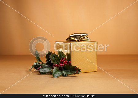 To use this stock image in your creative project, please select the size you need over to the right and click the "Add to Cart" button.
Your downloaded image will come with the Cutcaster watermark removed so don’t worry about the watermark you see on this page. Gold present and holly stock photo, Gold present and holly isolated over gold by Ulrich Schade