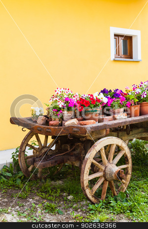 To use this stock image in your creative project, please select the size you need over to the right and click the "Add to Cart" button.
Your downloaded image will come with the Cutcaster watermark removed so don’t worry about the watermark you see on this page. Tuscany flowers stock photo, Very elegant way to show flowers in Tuscany - Italy by Paolo Gallo