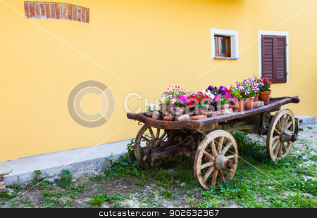 To use this stock image in your creative project, please select the size you need over to the right and click the "Add to Cart" button.
Your downloaded image will come with the Cutcaster watermark removed so don’t worry about the watermark you see on this page. Tuscany flowers stock photo, Very elegant way to show flowers in Tuscany - Italy by Paolo Gallo