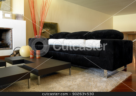 To use this stock image in your creative project, please select the size you need over to the right and click the "Add to Cart" button.
Your downloaded image will come with the Cutcaster watermark removed so don’t worry about the watermark you see on this page. Living Room stock photo, Living Room set detail with decoration elements by ABBPhoto