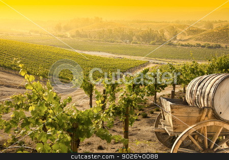 To use this stock image in your creative project, please select the size you need over to the right and click the "Add to Cart" button.
Your downloaded image will come with the Cutcaster watermark removed so don’t worry about the watermark you see on this page. Grape Vineyard with Old Barrel Carriage Wagon stock photo, Grape Vineyard with Vintage Barrel Carriage Wagon.
by Andy Dean